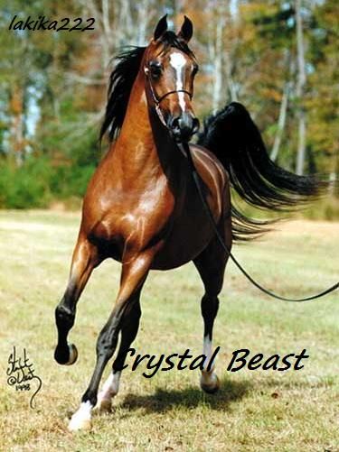 crystal_paci_4444.jpg
